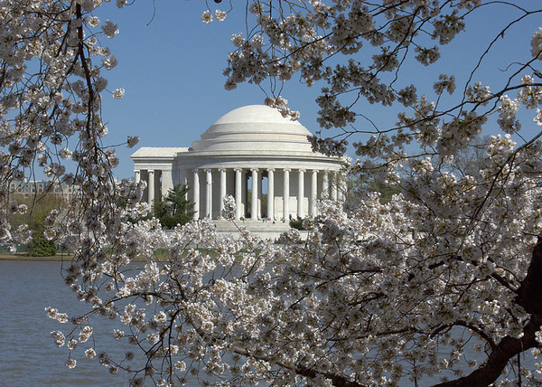 IMAGE: http://jaten.smugmug.com/Travel/DC-2010/Jefferson-in-bloom46661024/826035937_FTUcH-M.jpg