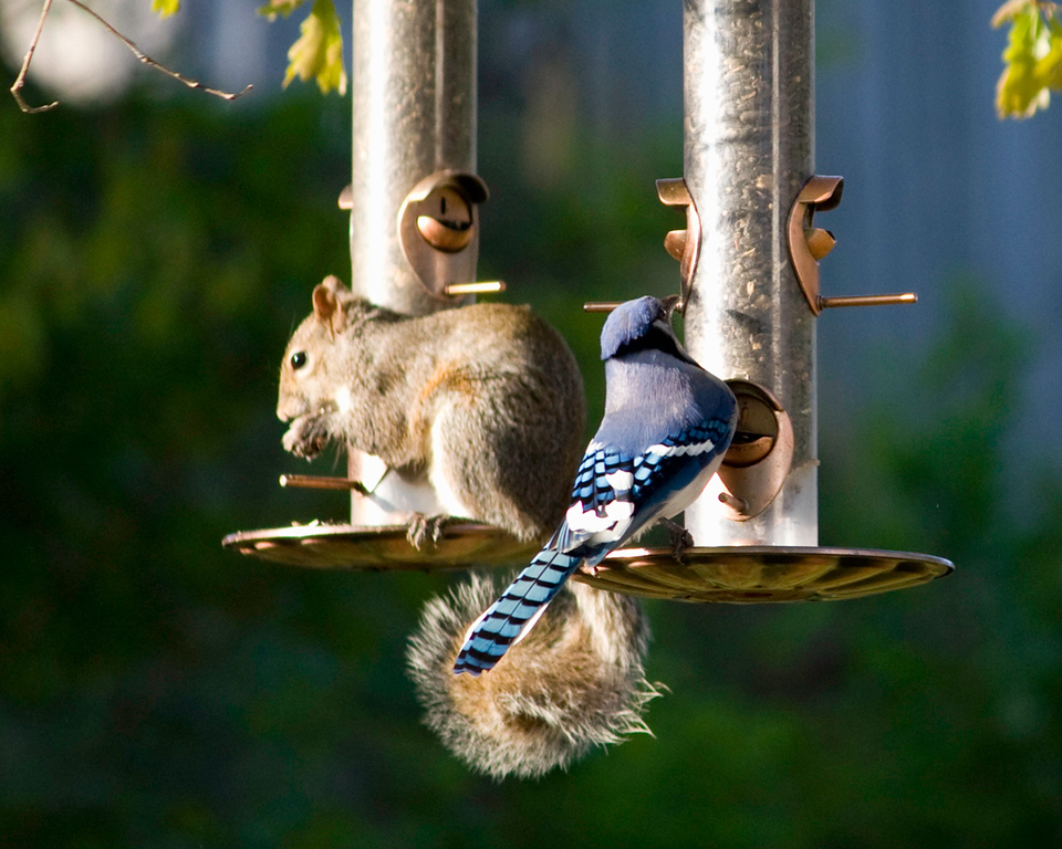 IMAGE: http://jaten.smugmug.com/photos/520664180_DBZuh-XL.jpg